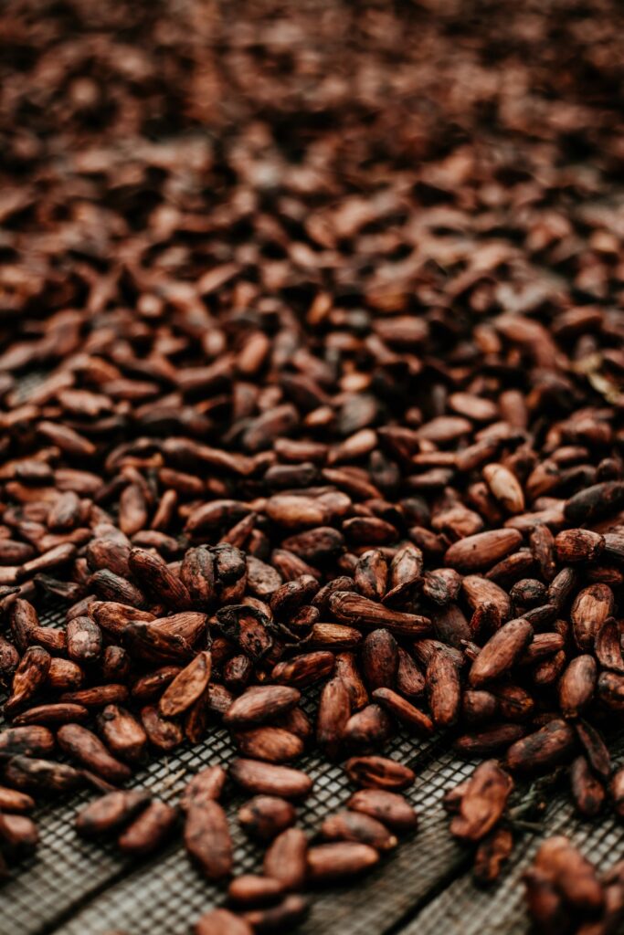 Cacao beans