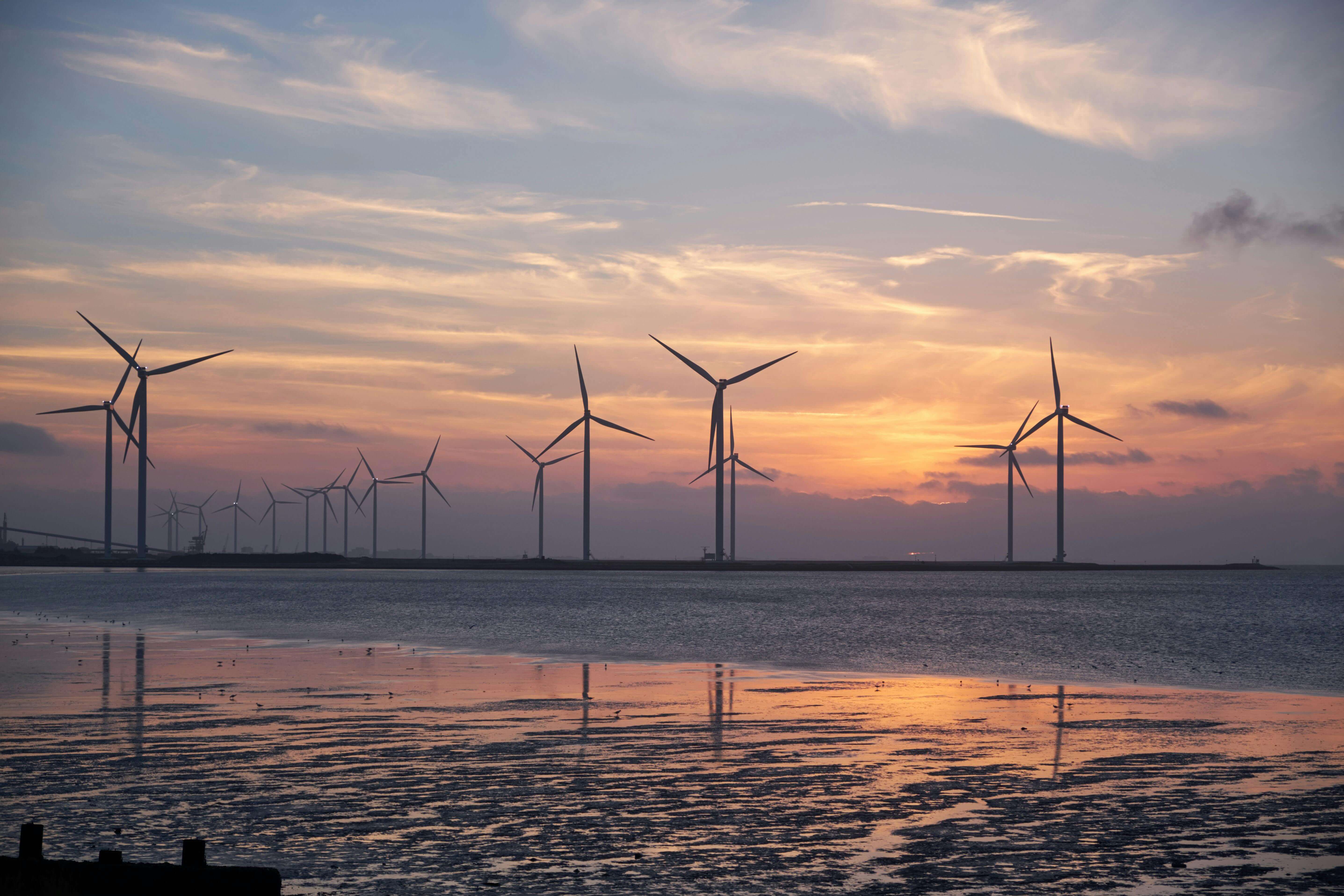 Global Energy Company Leverages Enterprise RPO to Build Out U.S. Talent Infrastructure